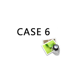 case 6